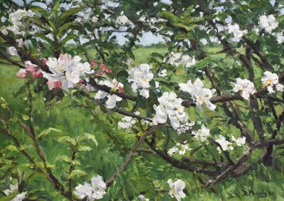 Lot 1072 - Bruce Mulcahy (Contemporary) Tree in blossom...