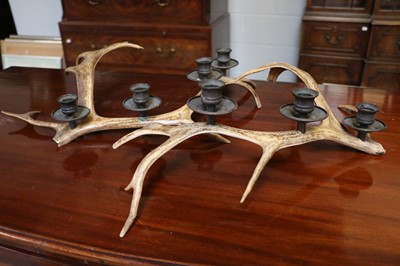 Lot 270 - A Pair of Reindeer Antler Candle Stands, 50cm