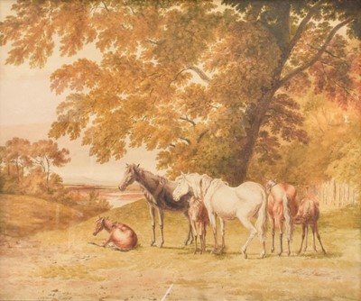 Lot 1113 - Follower of Robert Hills (1769-1844) Mares and...