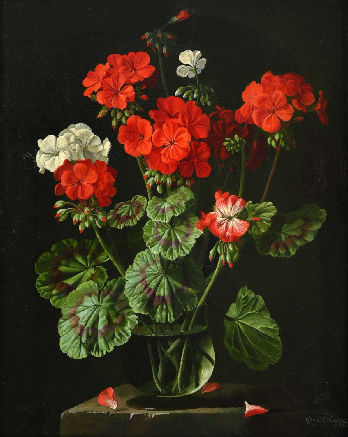 Lot 1125 - Gerald A Cooper (1898-1975) Geraniums Signed...