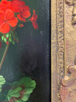 Lot 1125 - Gerald A Cooper (1898-1975) Geraniums Signed...