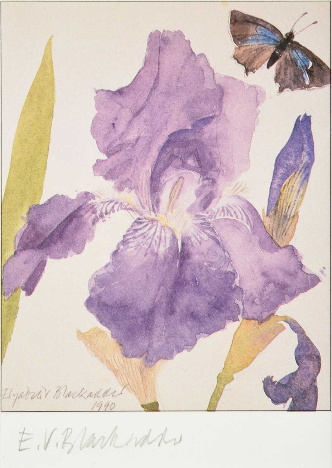 Lot 88 - Dame Elizabeth Blackadder DBE, RA, RSA