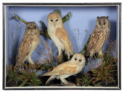 Lot 104 - Taxidermy: A Late Victorian Cased Diorama of...