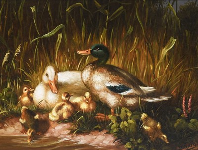 Lot 1043 - C*Bavary Study of ducks by a pond Signed oil...