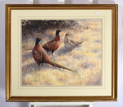 Lot 1031 - Rodger McPhail (b.1953) Pheasants in stubble...