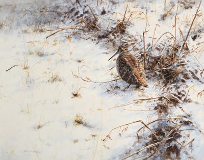 Lot 1028 - Rodger McPhail (b.1953) Woodcock in snow...
