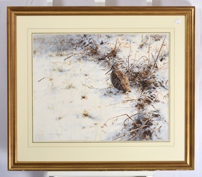 Lot 1028 - Rodger McPhail (b.1953) Woodcock in snow...