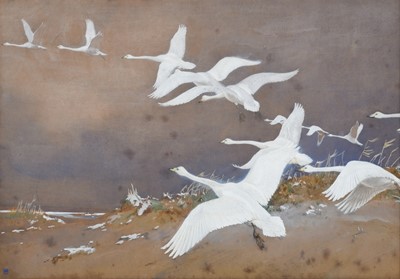 Lot 1022 - Winifred Austen RI, RE (1876-1964) "Wild Swans"...