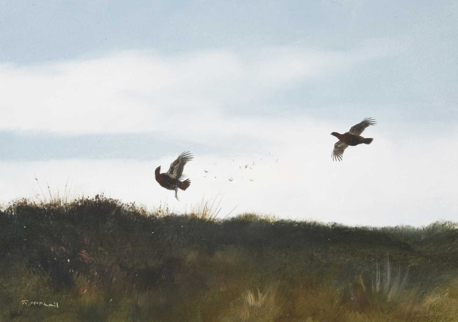 Lot 1019 - Rodger McPhail (b.1953) Grouse in flight...