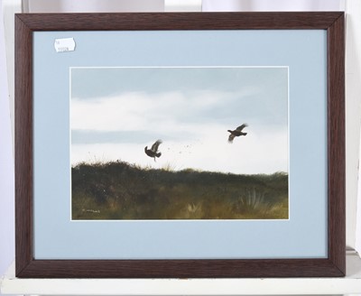 Lot 1019 - Rodger McPhail (b.1953) Grouse in flight...