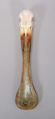 Lot 198 - Skulls/Anatomy: An African Spoonbill Skull...