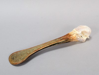 Lot 198 - Skulls/Anatomy: An African Spoonbill Skull...