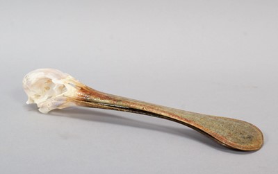 Lot 198 - Skulls/Anatomy: An African Spoonbill Skull...