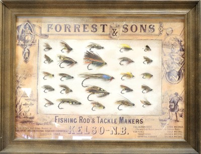 Lot 79 - Three Framed Displays of Flies