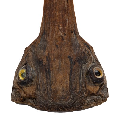 Lot 87 - Natural History: A Sawfish Rostrum (Pristidae...