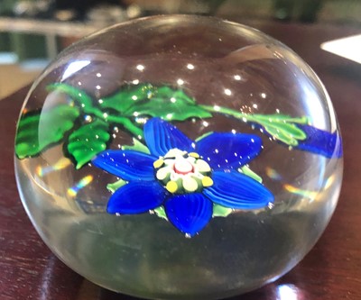 Lot 18 - A Clichy Paperweight, circa 1850, worked with...