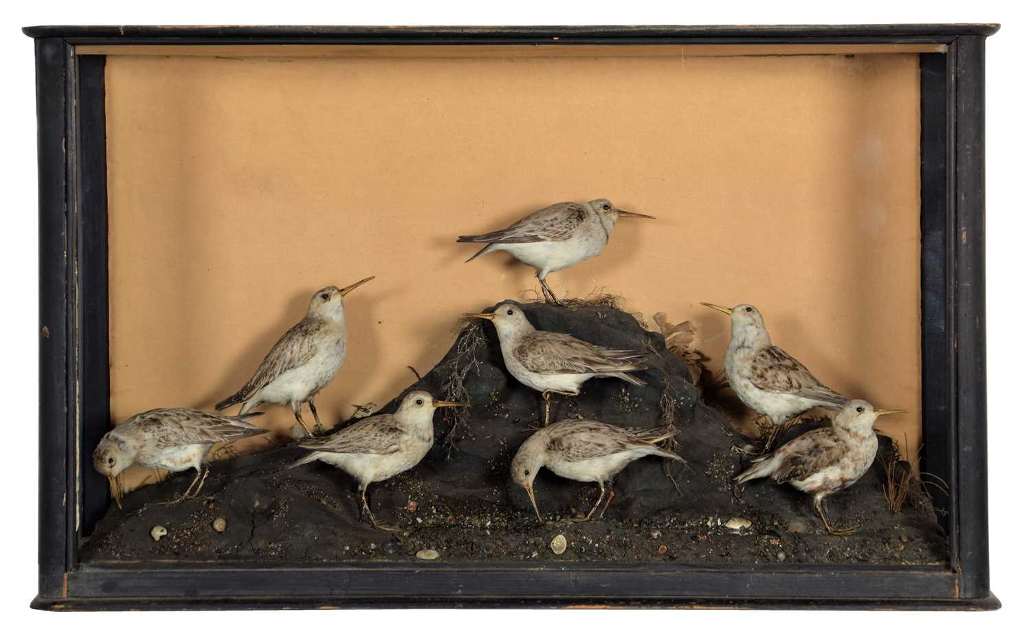 Lot 194 - Taxidermy: A Cased Victorian Diorama of...