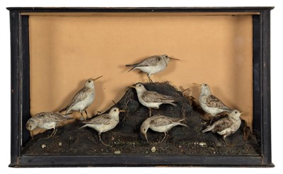Lot 194 - Taxidermy: A Cased Victorian Diorama of...