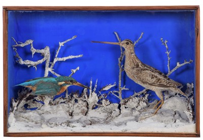 Lot 249 - Taxidermy: A Cased European Kingfisher & Snipe,...