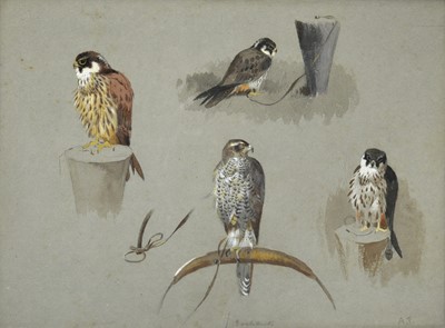 Lot 1010 - Attributed to Archibald Thorburn FZS...