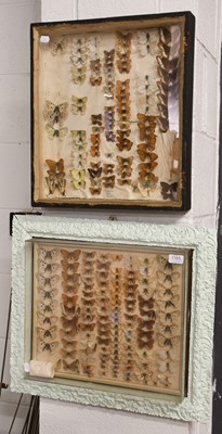 Lot 1165 - Two Butterfly Framed Specimen Cases 