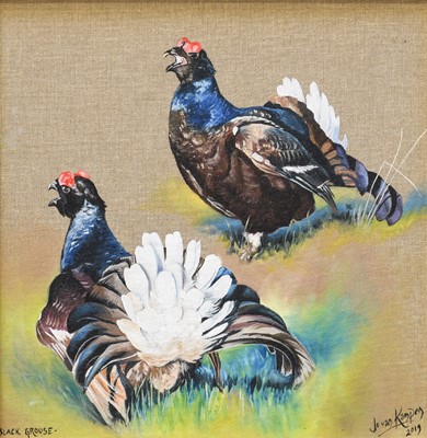 Lot 1058 - Jo Van Kampen (b.1968) "Black Grouse" Signed,...