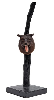 Lot 262 - Taxidermy: A Composed European Melanistic Fox...