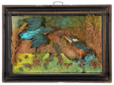 Lot 270 - Taxidermy: A Pair of Edwardian Cased European...