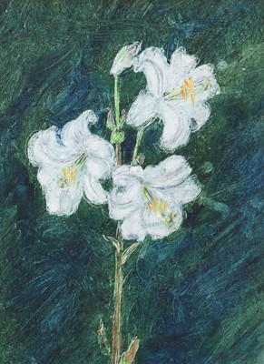 Lot 1049 - Selina Thorp (b.1968) "White Lillies" Signed,...