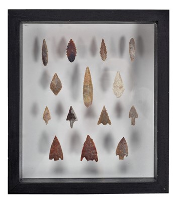 Lot 350 - Natural History/Fossils: A Collection of...