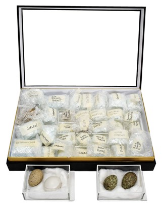 Lot 330 - Natural History: A Large Collection of Replica...