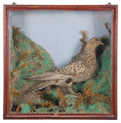 Lot 1157 - Taxidermy: A Victorian Cased Spotted...