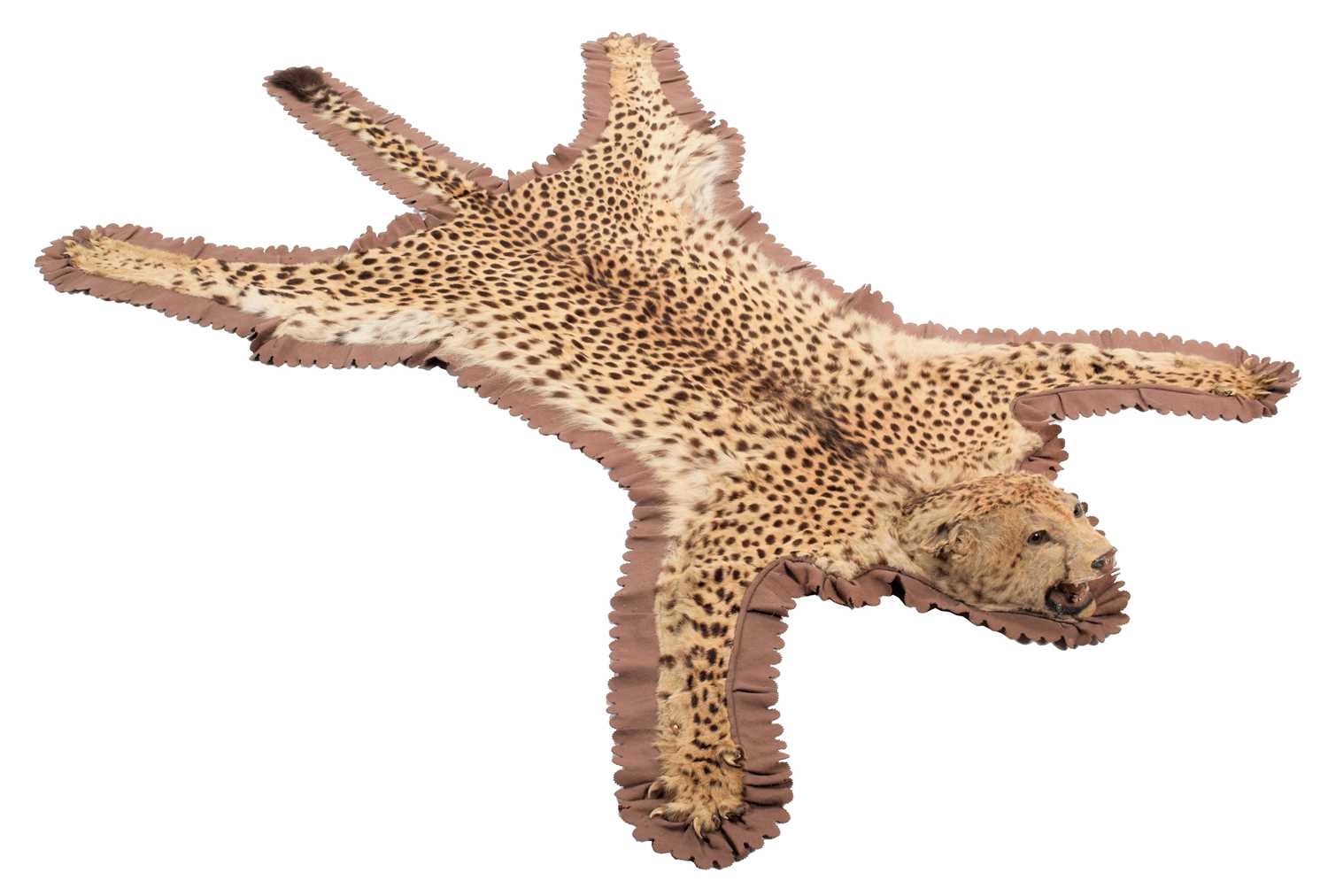 Cheetah Rag Lot 15 - Taxidermy: African Cheetah Skin Rug (Acinonyx