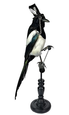 Lot 60 - Taxidermy: The Anthropomorphic Distinguished...