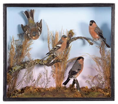 Lot 96 - Taxidermy: A Late Victorian Cased Diorama of...