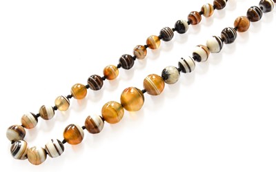 Lot 36 - A Graduated Banded Agate Bead Necklace, length...