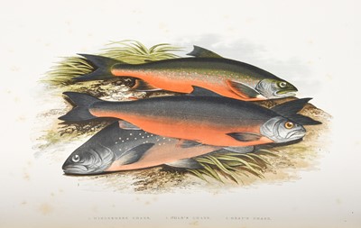 Lot 2175 - Houghton (Rev. W.). British Fresh-Water Fishes....