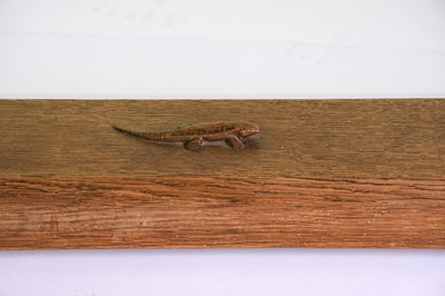 Lot 547 - Lizardman: Derek Slater (Easingwold): An Oak...