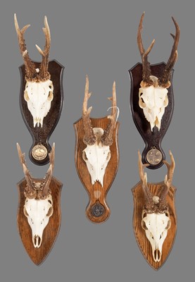 Lot 19 - Antlers/Horns: A Group of Bronze Medal Class...