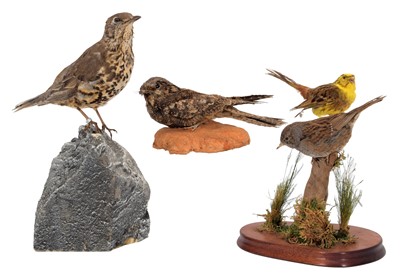 Lot 46 - Taxidermy: A Group of British Countryside...