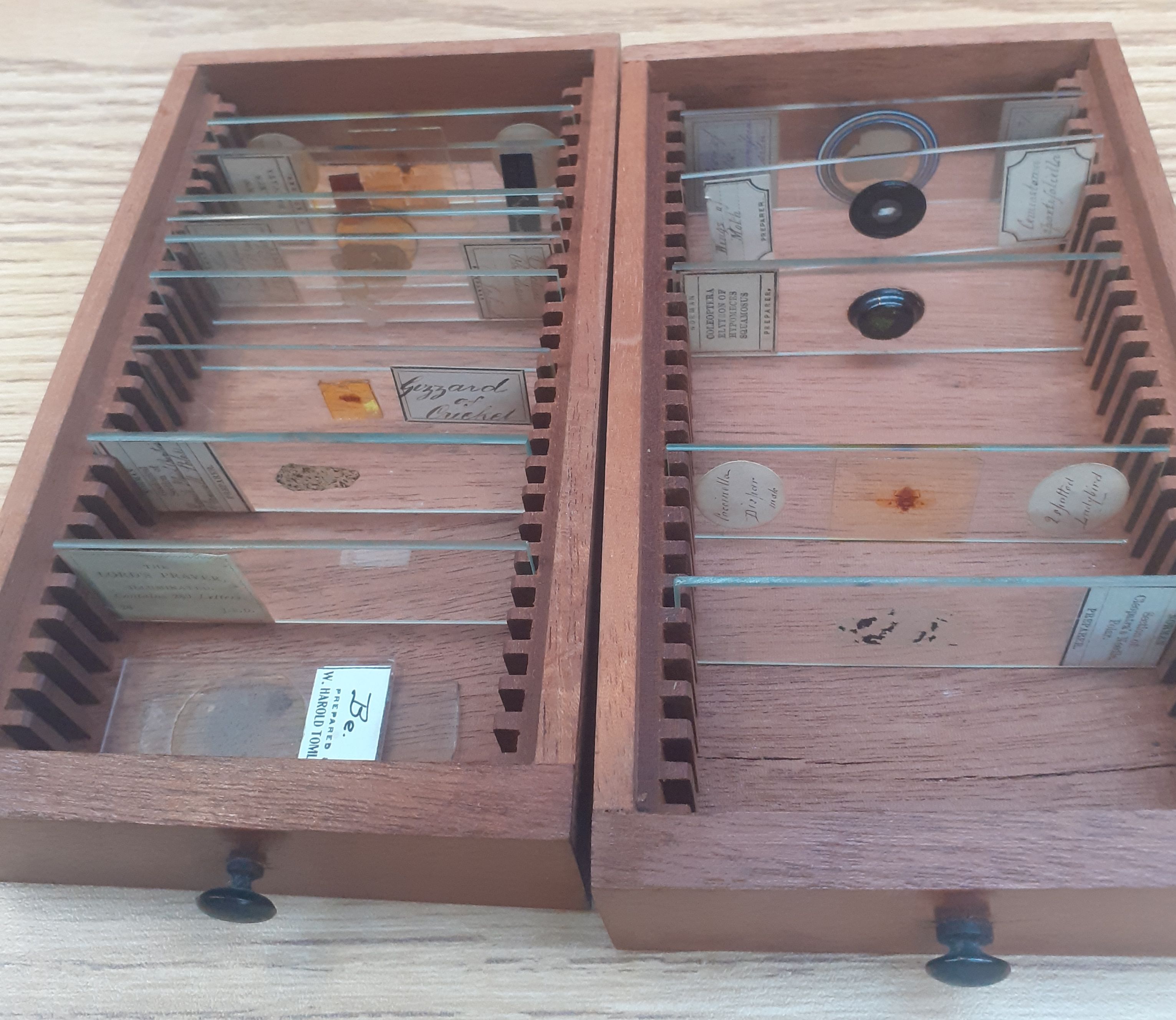 Lot 131 John B Dancer Manchester Binocular lot-131-john-b-dancer-manchester-binocular