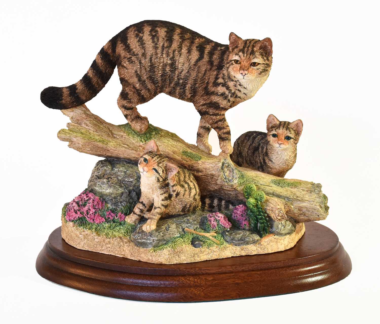 Lot 1093 - Border Fine Arts 'Highland Secret' (Scottish Wildcat)