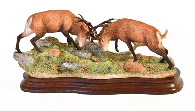 Lot 1093 - Border Fine Arts 'Highland Secret' (Scottish Wildcat)