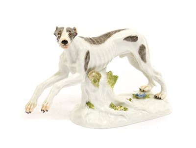 Lot 194 - A Meissen Porcelain Model of a Greyhound, late...