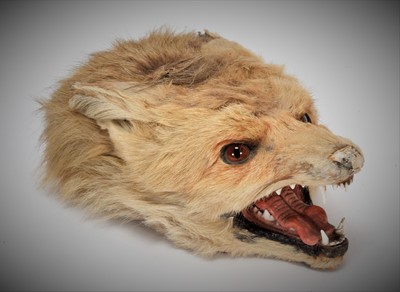 Lot 108 - Taxidermy: A Red Fox Mask Cigarette Box,...