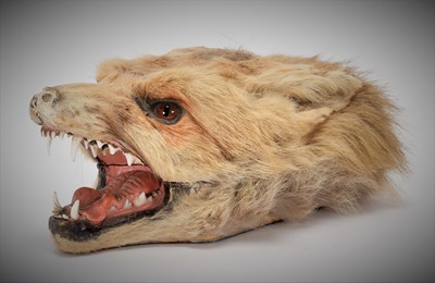 Lot 108 - Taxidermy: A Red Fox Mask Cigarette Box,...