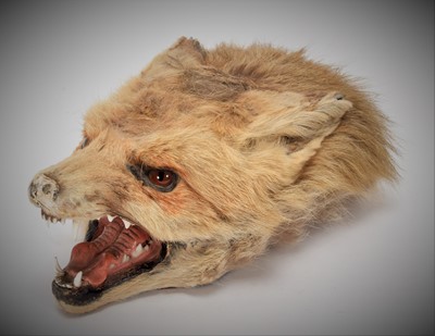 Lot 108 - Taxidermy: A Red Fox Mask Cigarette Box,...