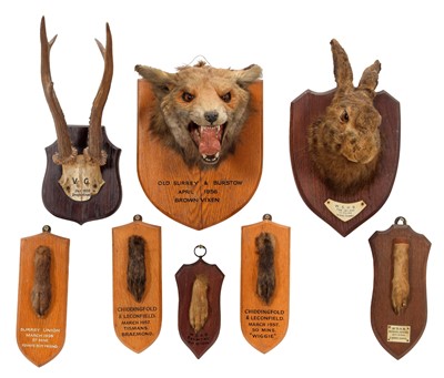 Lot 1199 - Taxidermy: A European Red Fox Mask (Vulpes...