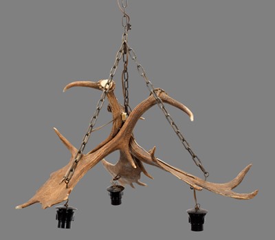 Lot 1161 - Antler Furniture: A Fallow Deer Antler Mounted...