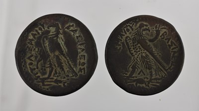 Lot 6 - 3 x Ptolemaic Kings of Egypt AE, all with obv....
